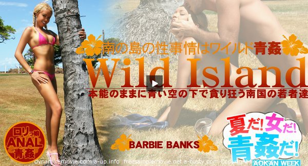 南の島の性事情はワイルド青姦 Wild Island -夏だ！女だ！青姦だ！-(バービー)　