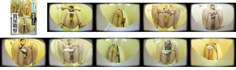【VR】海水浴場和式トイレ放尿観察:Image